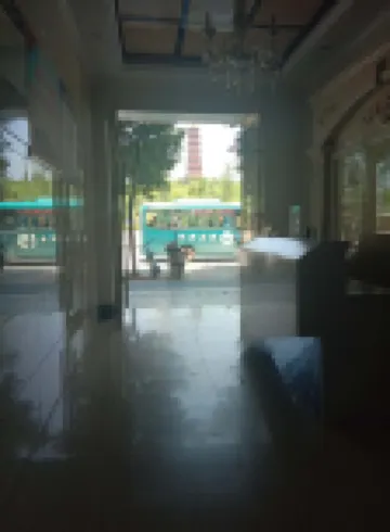Linwu Dongta Hotel