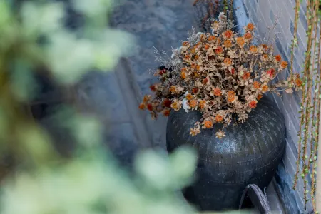 Liqun liuyuefeng Homestay Отели в г. Лицюань