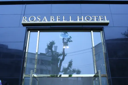 Rosabell Hotel Отели в г. Ансан
