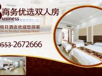 芜湖秀水假日酒店 - 高级双床房