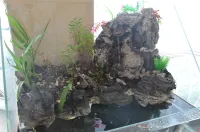 Huitong Jiangdu Theme Hotel 후이퉁 호텔