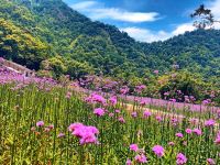 雁荡山静凡居民宿 - 酒店附近