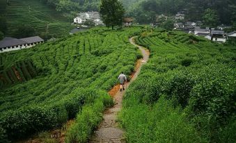 Floral Hotel ·Hangzhou LongjingHualu Homestay