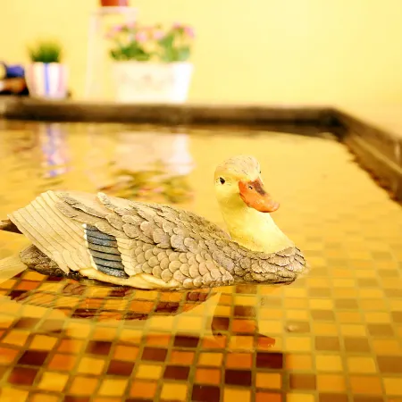 Term Holiday Hotel