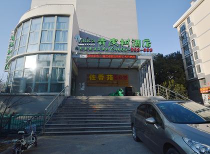 Qingpishu Hotel (Nanjing Railway Station Forestry University Xinzhuang Subway Station)