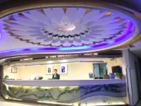 驿居酒店(上海虹桥枢纽七莘路地铁站店) - 公共区域