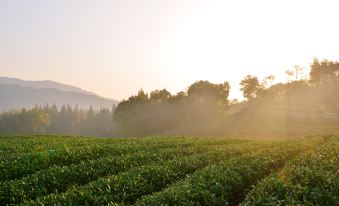 Millennium Resort HangzhouOver view