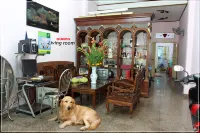 Quang Saigon Hotel- 40-7 Bùi Viện-Walking Street - ゲストハウス