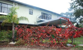 Deville at Healesville