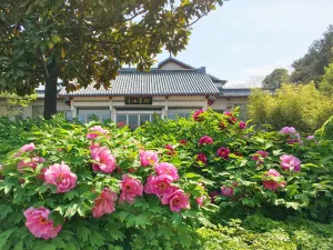 뤄양 둥산 호텔