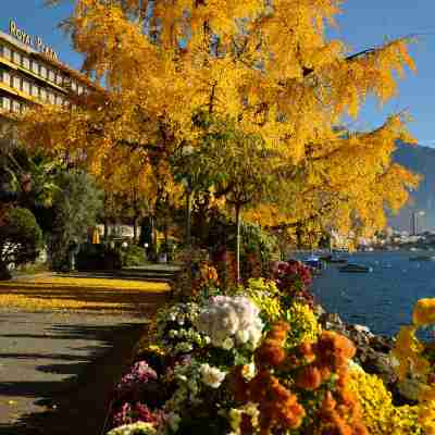 Royal Plaza Montreux Hotel Exterior