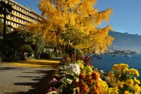Royal Plaza Montreux Отели в г. 
