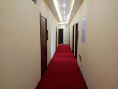 Hulin Dongfu Express Hotel Hotels in Hulin