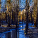Lia Daocheng Resort