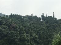 峨眉山风林月山庄 - 酒店景观