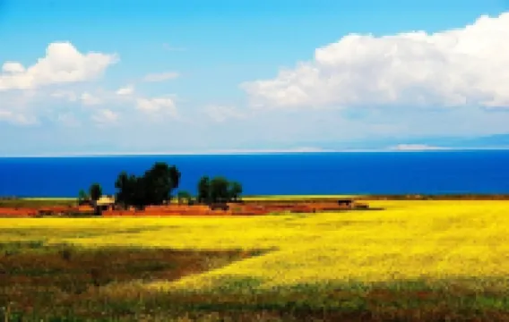 Mehood Hotel (Xining Haihu New District)