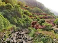 宁波班马家民宿丨栖霞山居 - 酒店附近