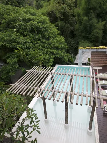 รูปภาพของพราวภูฟ้าแม่ริม