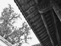长兴蒋家古宅民宿 - 其他