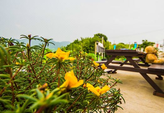 순천 순천만민속한옥펜션