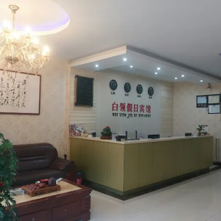 Longyou White Collar Holiday Hotel
