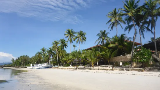 Island View Beachfront Resort