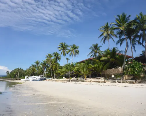 Island View Beachfront Resort Hotels in Anda