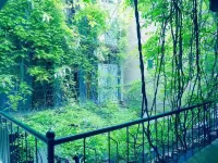 Zhumadian street guest hotel