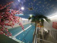 敦化金豪国际商务酒店 - 室内游泳池