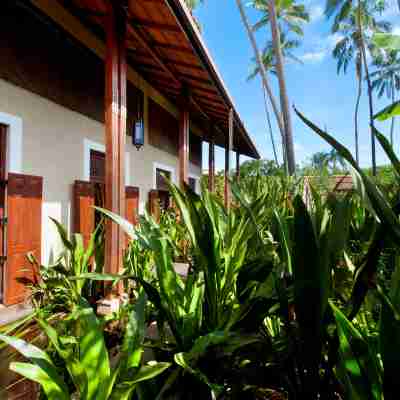 Reef Villa Hotel Exterior