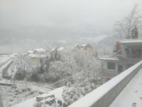 汶川山野闲居农家院 - 酒店景观