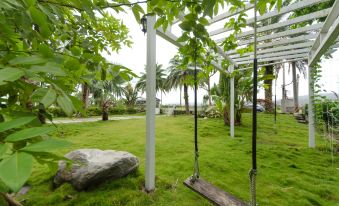 Hasayaki Hostel