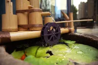Pinman Hotel (Changsha County Wuyue Plaza & Songya Lake Wetland Park Branch) - 조식 운영