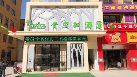 Vatica Hotel (Linquan County Tenghui International City) Отели в г. Линьцюань