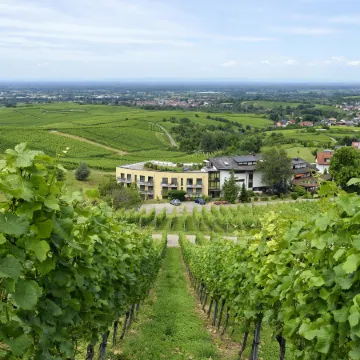 Hotel Rebenhof