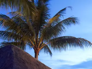 Popular Premium Hotels in Tuaran