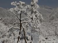 西岭雪山雪花酒店 - 酒店附近