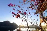 Xiyuan Holiday Hotel - Mountain view