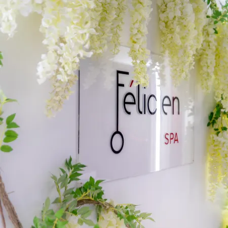 Hôtel Félicien