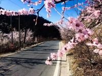 北京黄花城水长城丰富源农家院 - 酒店附近