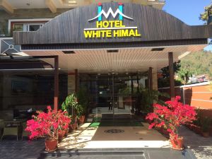 Hotel White Himal