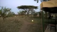 Serengeti Wild Camp