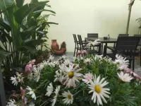 Yijia Smart Hotel (Fengdu Ghost Town) - Ramah Hewan Peliharaan