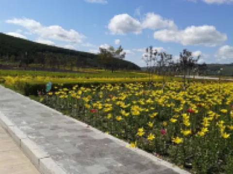 Aershan Jinyijia Hotel