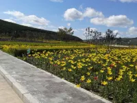 Aershan Jinyijia Hotel