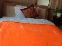 北京途悦居公寓酒店 - 精致简约一室大床房