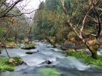 雁荡山清莉客栈 - 酒店附近