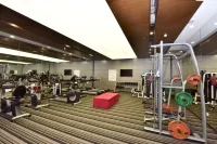 Pullman Zhangjiajie - Gym