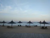 麗楓酒店（北戴河老虎石鴿子窩公園店） - 海景