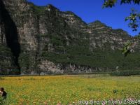 野三坡百里峡花间憩民居 - 酒店附近